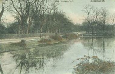 'The Rush Pond, Chislehurst' from an old postcard.